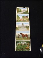 Vintage Kentucky Multi Foldout Post Cards