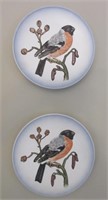 Pair Handpainted West Germany Plates