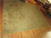 86in x109 in green colored area rug