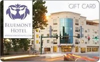 Night stay at Bluemont Hotel