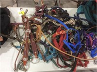 Several Leather Headstalls, Horse Halters