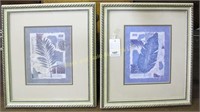 Pr: Exotica Botanica framed prints