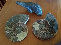 3pc Decor, Ammonite And Stone Seal