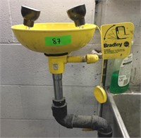 Bradley Eye Wash Station