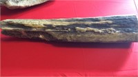 25lb Fossilized Bone
