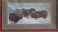 Friends of the Musk Ox framed print