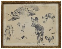 WILHELM KUHNERT (1865-1926) NATURALIST DRAWING