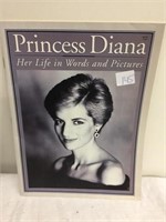 Princess Diana magazine