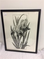 Flower framed print 17x21.5"