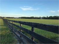 Williston, FL - 357 Acres