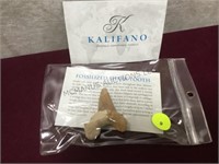 Kalifano Fossilized Shark tooth