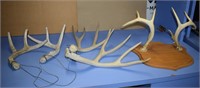 Antler Hat Rack On Wooden Plaque, And Two Sets Of