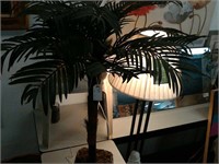 Silk Palm tree