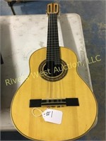 Acoustic 10 string guitar