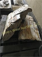 Several pallets of large pieces of petrified wood
