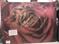 Brand New Rose Canvas Print Huge