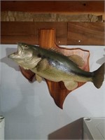 Bass Fish Mount