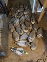 Duck Decoys 25