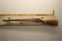 Marlin .22 rifle