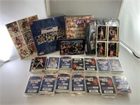 LARGE COLLECTION OF ASSORTED AFL FOOTY
