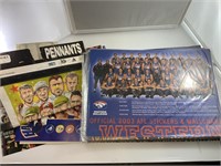 ALL 16 AFL STICKERS AND WALL ART POSTERS