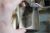 MEGALODON SHARKS TOOTH