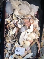 Loose Sea Shell, Sea Horse and Sand Dollars