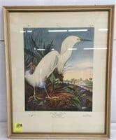 Snowy Heron or White Egret by John J. Audubon