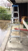 Werner Aluminium Ladder 6Ft