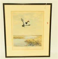 Lot #106 - Framed print of flying Redhead titled