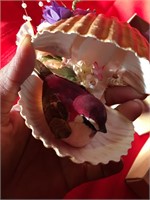 Weddings And Traditions LTD. Bird in sea shell
