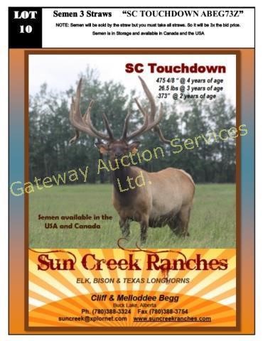 2018 AEC Convention Select Elk  & Semen Auction