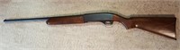 Remington Model 11 - 48 & Canvas cover