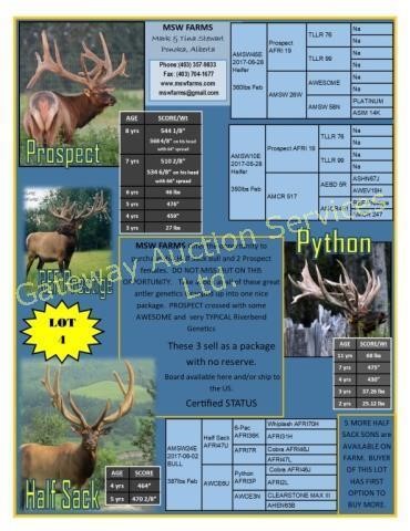 2018 AEC Convention Select Elk  & Semen Auction