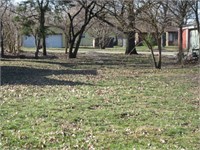 Real Estate Auction - 50 x 200 lot in Arcola, IL