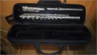 Flute in WolfPak Bag