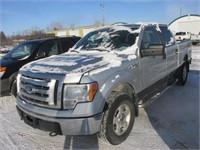 2010 FORD F150 1FTEW1E82AFD81390