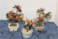 SELECTION OF JADE TREES