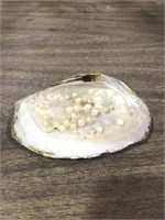 Oyster Halfshell w/ 27 Pearls