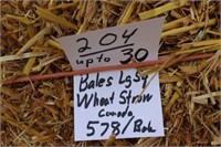 Straw-Lg. Squares-Wheat