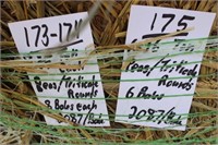 Hay-Peas/Triticale-Rounds-8 Bales