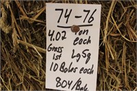 Hay-Grass-Lg. Squares-1st-10 Bales