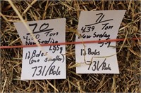Hay-New Seeding-Lg. Squares-12 Bales