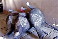 Turkey Hen Decoys