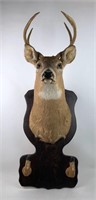 Deer mount with hooves