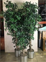 Lot of three faux ficus trees