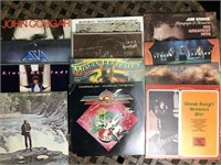 Lot of vinyl records #3