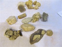 Bags of fossils/gemstones