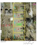 5 Lots TBD Sycamore Street, Carbondale, IL 62901
