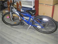 Trek Mountain Trail Bike (Boy)